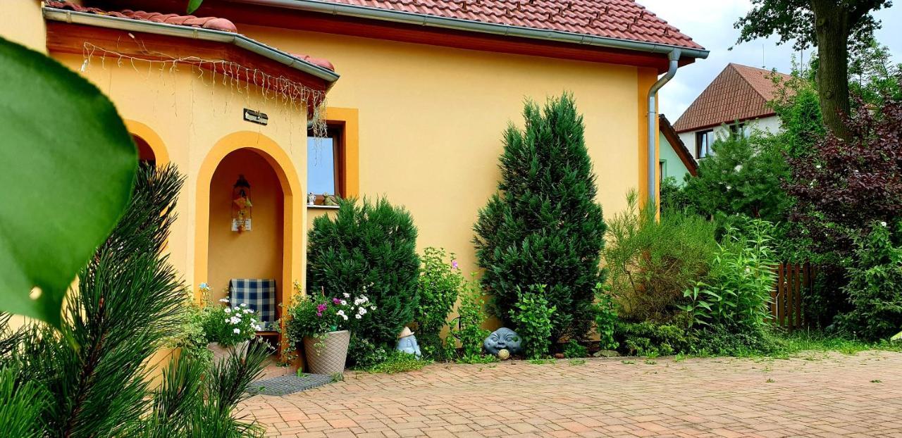 Penzion U Sýkorů Třeboň Esterno foto