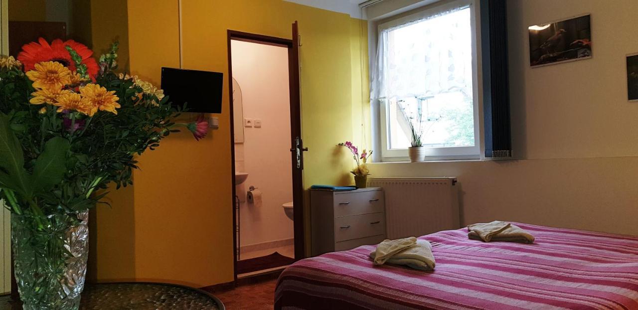 Penzion U Sýkorů Třeboň Esterno foto